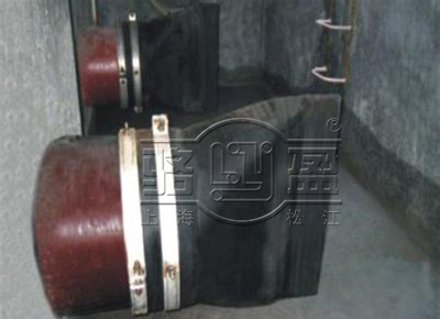 法蘭式鴨嘴閥實地案例